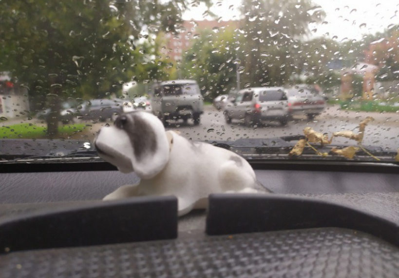 Дожди будут лить в Новосибирске до конца недели