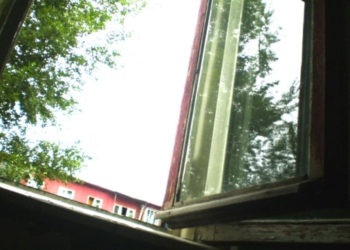 ндн.инфо, в.ведерников