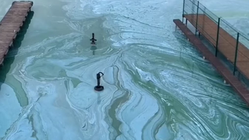 Facebook Алексей Носов