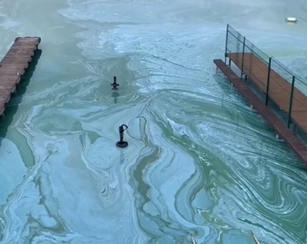 Facebook Алексей Носов