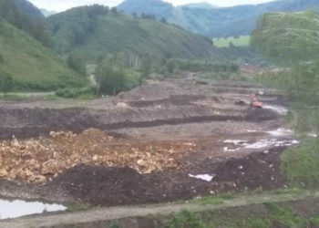 Золотодобытчик из Новосибирска ведет добычу рядом с растениями из Красной книги