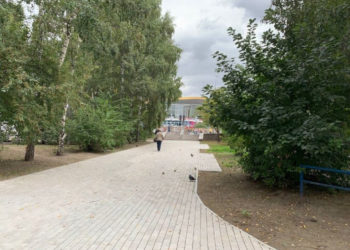 Живая изгородь из снежной ягоды украсит сквер в Новосибирске