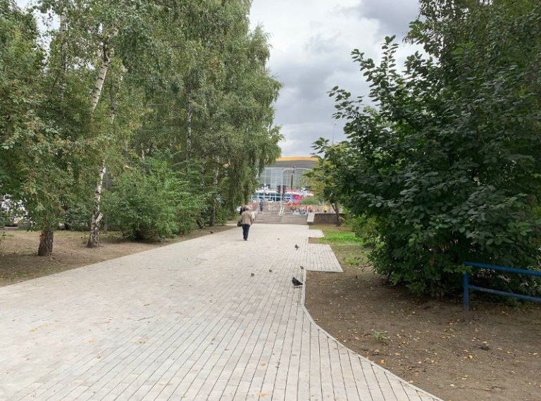 Живая изгородь из снежной ягоды украсит сквер в Новосибирске