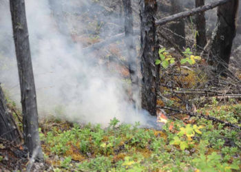 наука в сибири