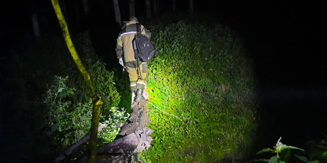 vk.com/lizaalert_novosib