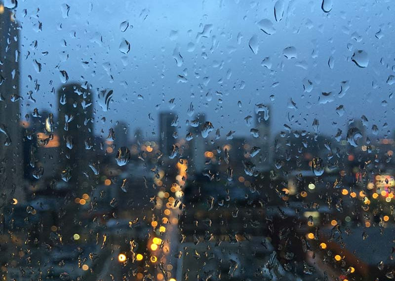 Когда вернется дождь в Новосибирск, спрогнозировали синоптики