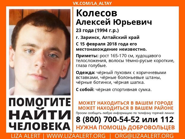 Лиза алерт