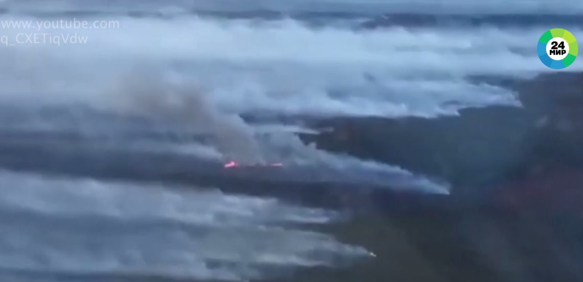 Более 4 млн гектаров сибирского леса уже сгорело за это лето