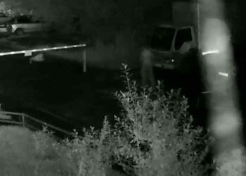 Новосибирцы затравили девушку покончившего с собой полицейского