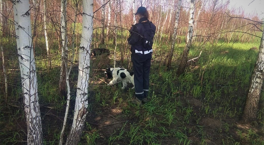 ГУ МЧС по НСО