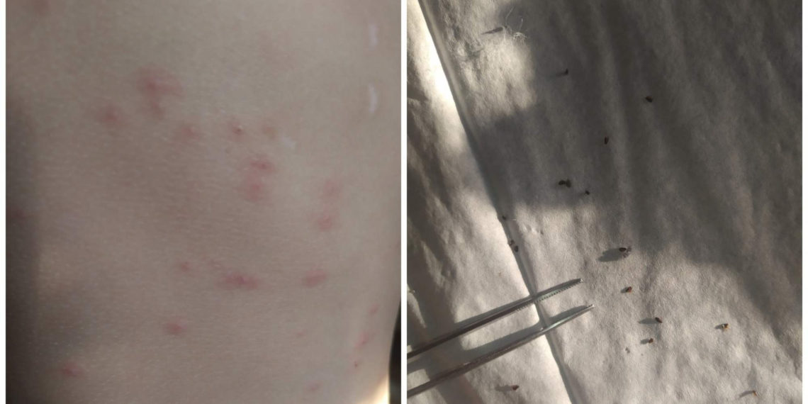 Город Обь Онлайн