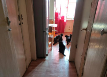 УФССП по НСО