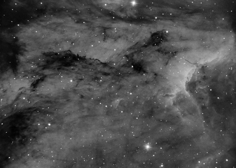 Туманности в созвездии Лебедя запечатлел новосибирец в ночном небе