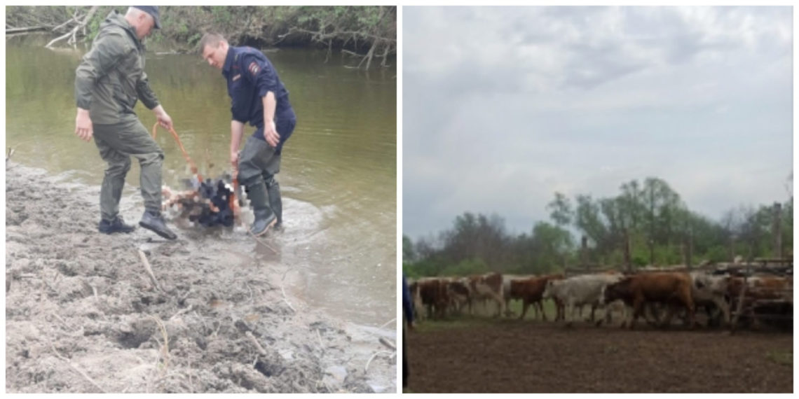 СУ СКР по НСО