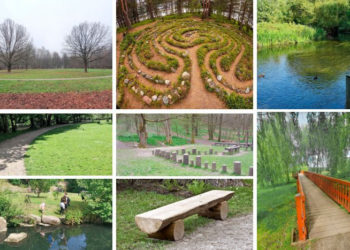 Что будет размещено в уникальном парке в пойме реки Каменки