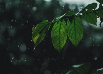 unsplash.com/Anil Xavier