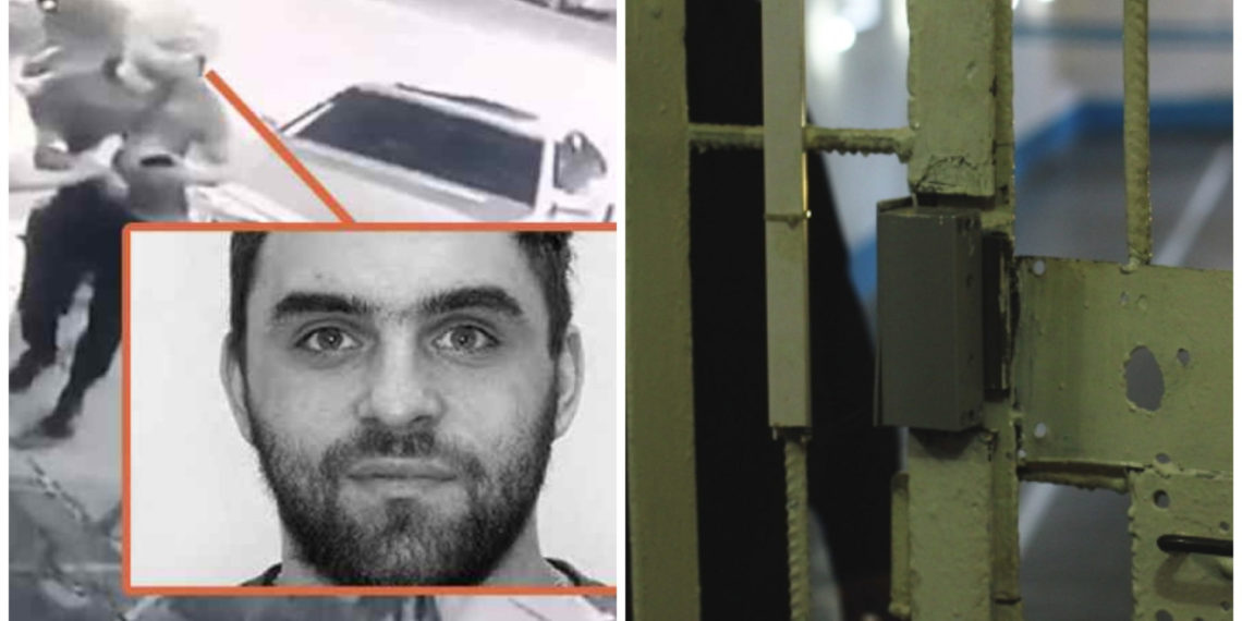 Коллаж: АСТ-54/МВД.РФ, НДН.инфо