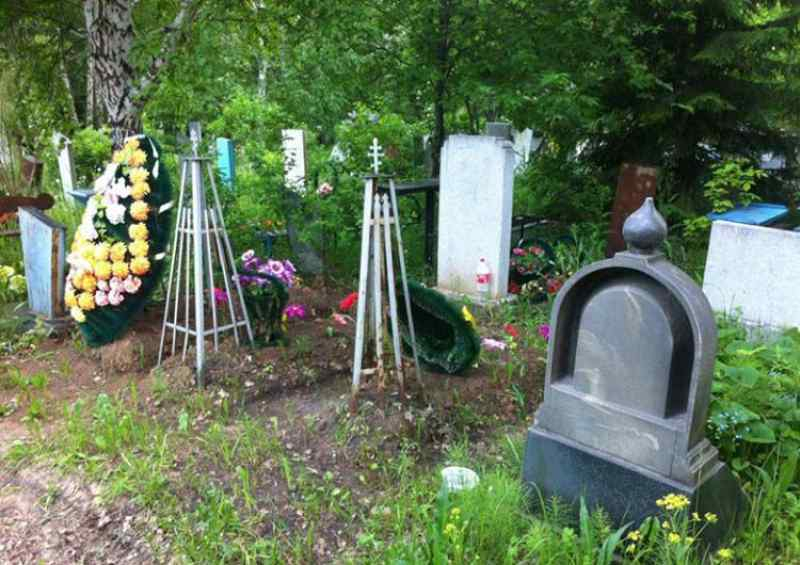 НДН.ИНФО