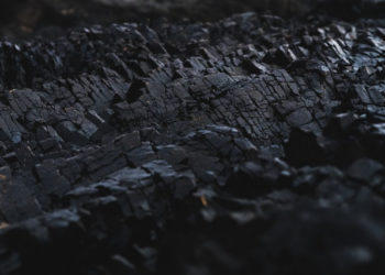 unsplash.com/Dexter Fernandes