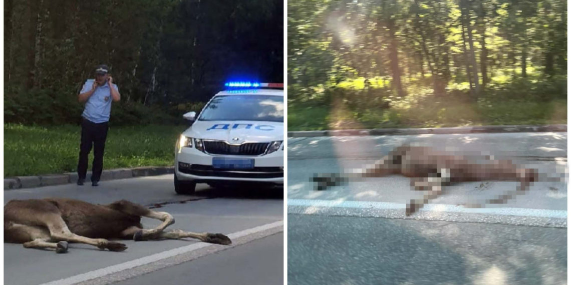 АСТ-54 / Оксана Иванова в группе "Сообщество Академгородка"