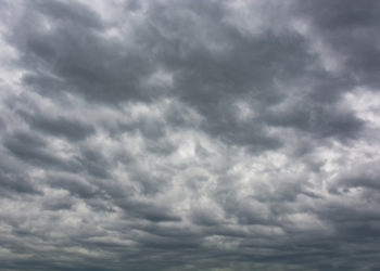 ru.freepik.com/evening_tao