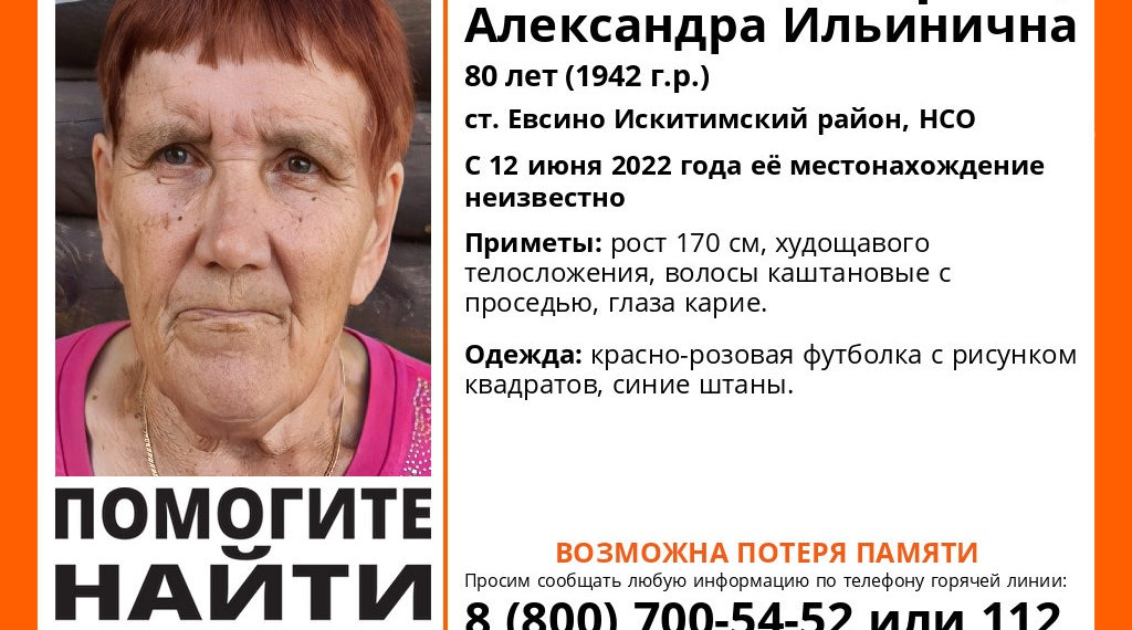 vk.com/lizaalert_novosib