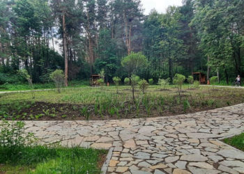 правительство нсо