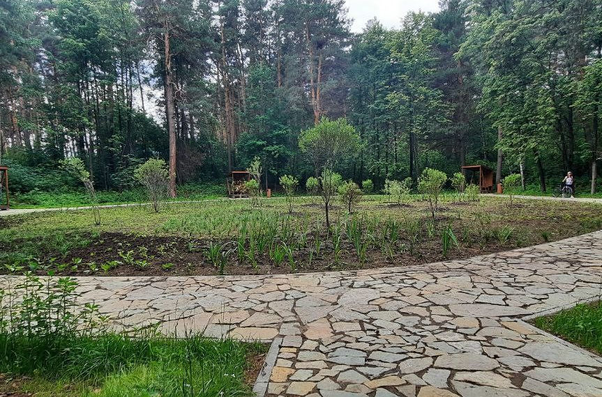 правительство нсо