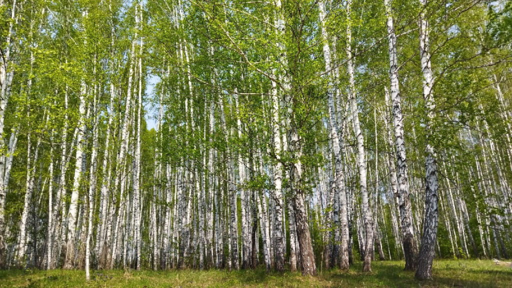ндн.инфо