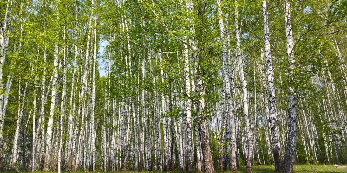 ндн.инфо