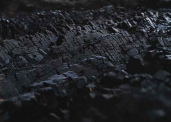 UNSPLASH.COM/DEXTER FERNANDES