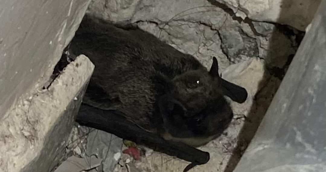 наш дом слобода