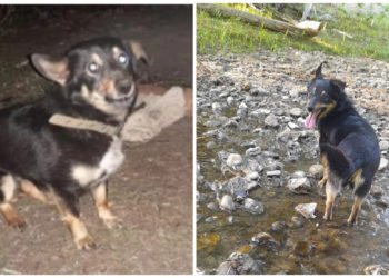 Предоставлено хозяйкой Бони