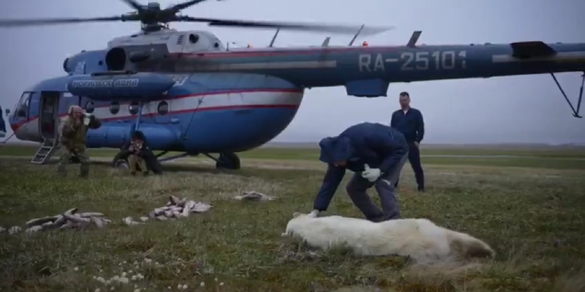 скриншот с видео "Норникеля"