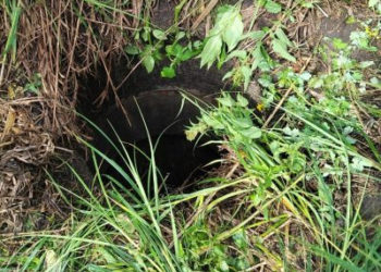 МВД по Кузбассу