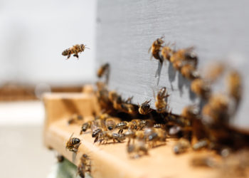 unsplash.com/Damien TUPINIER