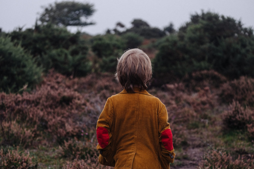 unsplash.com / @anniespratt