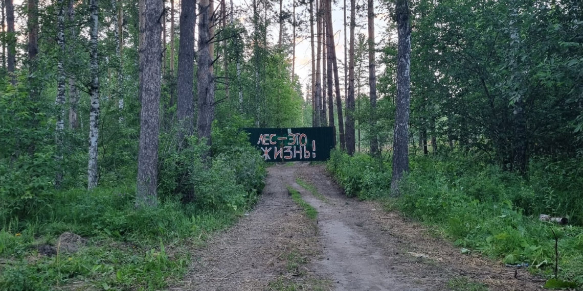 Читатель НДН.инфо