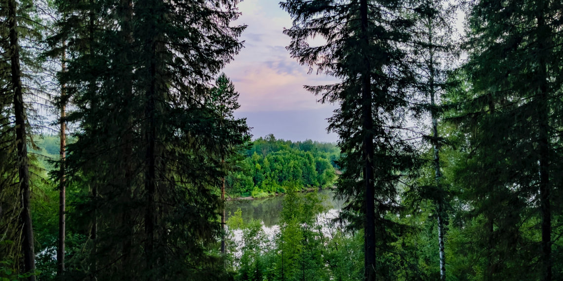 unsplash.com/Vyacheslav Makushin