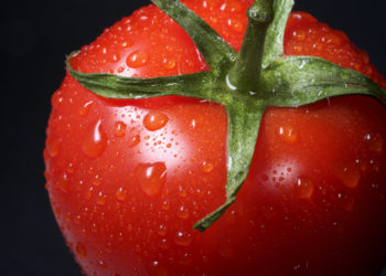 unsplash.com/Immo Wegmann