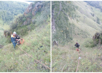 ГУ МЧС России по Алтайскому краю