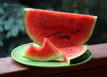 Можно ли отравиться купленным на обочине дороги арбузом — специалист