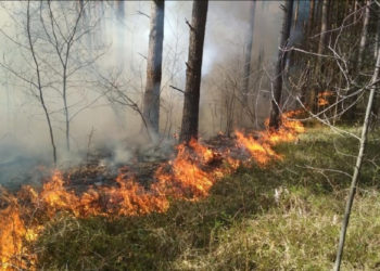 прокуратура нсо