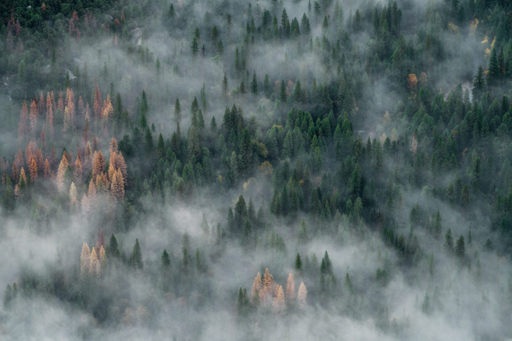 unsplash.com/JOHN TOWNER