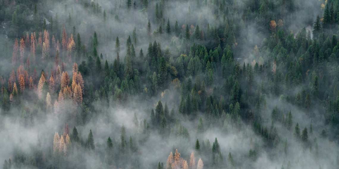 unsplash.com/JOHN TOWNER