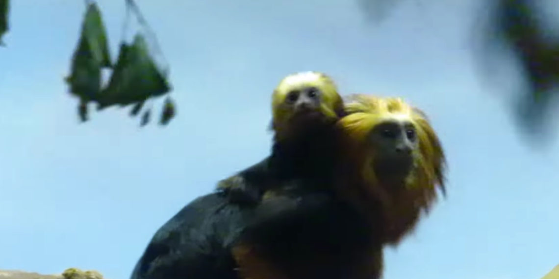 Анна Новикова