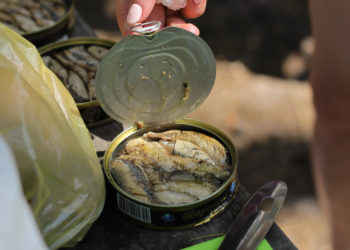 unsplash.com/Ignat Kushanrev