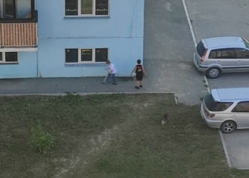 Школьники с собакой побили окна домов на МЖК в Новосибирске