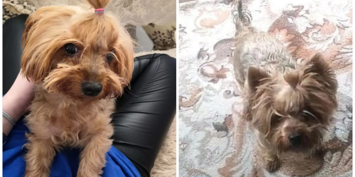 предоставлено хозяйкой Евы