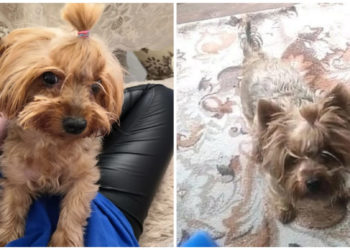 предоставлено хозяйкой Евы